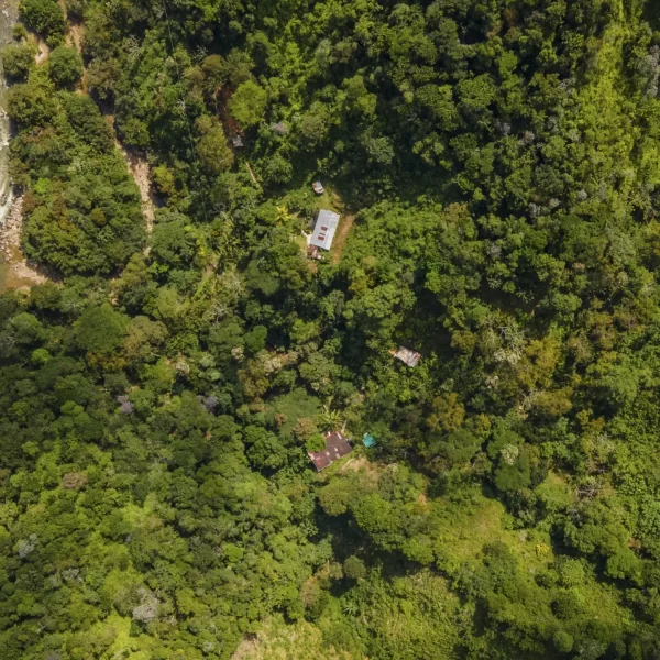 Vereda el 62 finca la herrera reselva rio nus